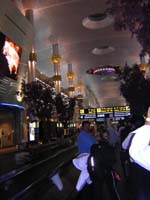 DSCN0137