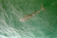 DSCN0137