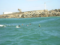 DSCN0131