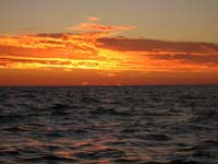 DSCN0131