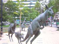 DSCN1262
