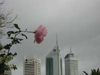DSCN1316