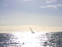 DSCN1329